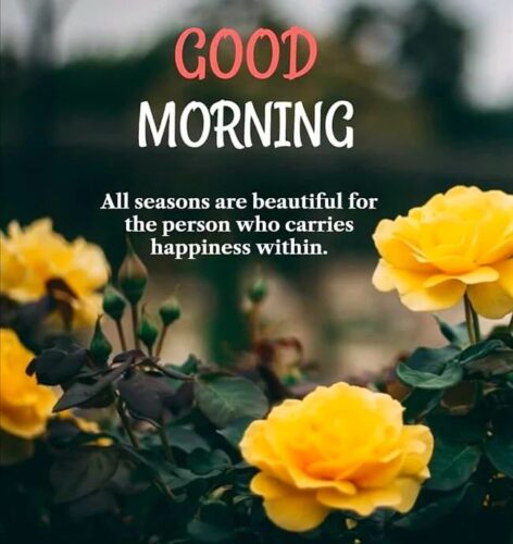 good morning flowers pictures for whatsapp 3 (5)