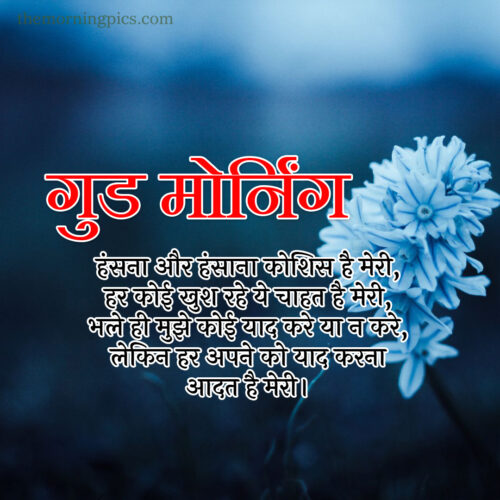 stunning morning flower images with hindi morning message