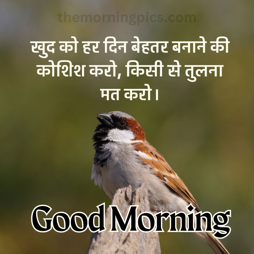 Good Morning Quotes in Hindi Images (14)