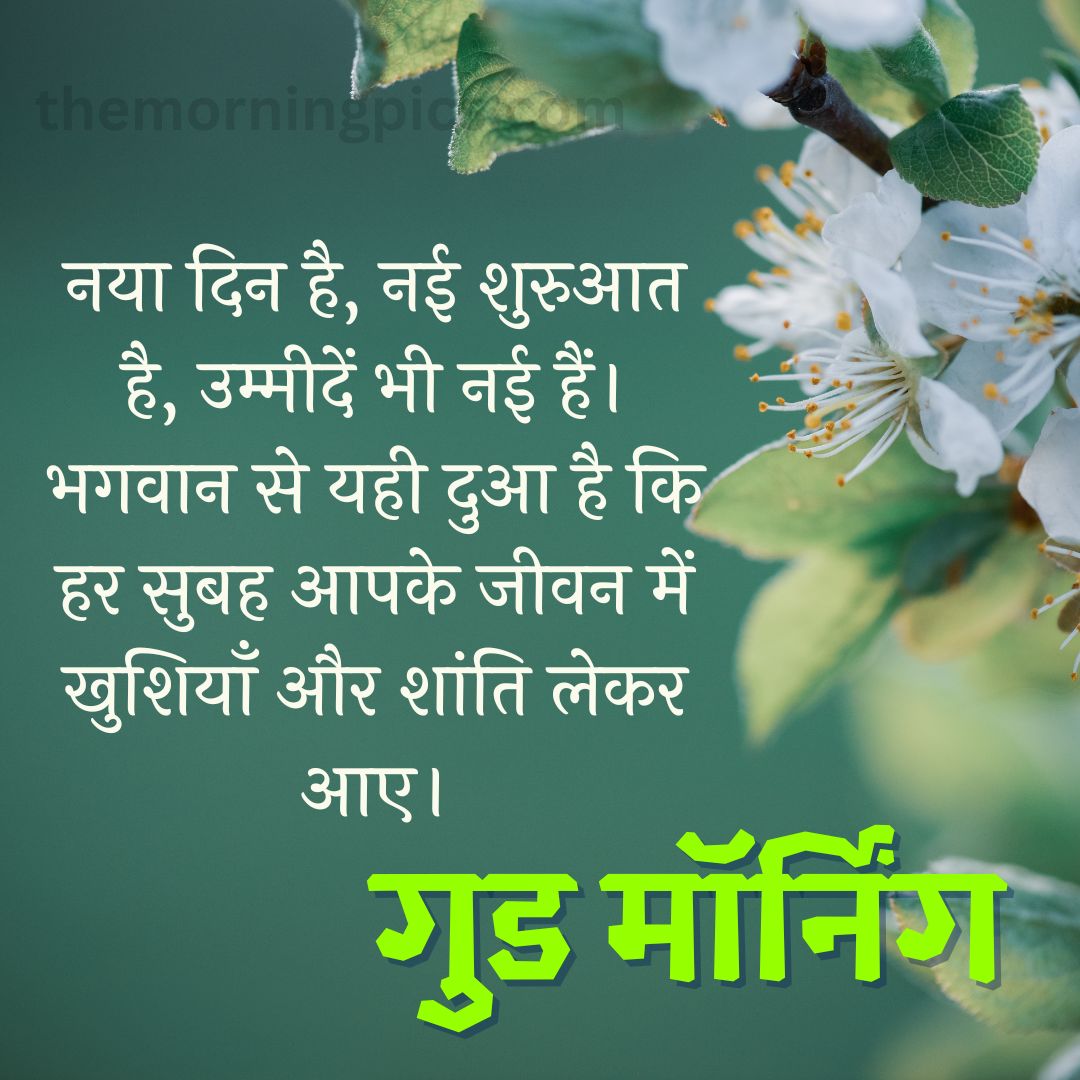 Good Morning Quotes in Hindi Images (7)