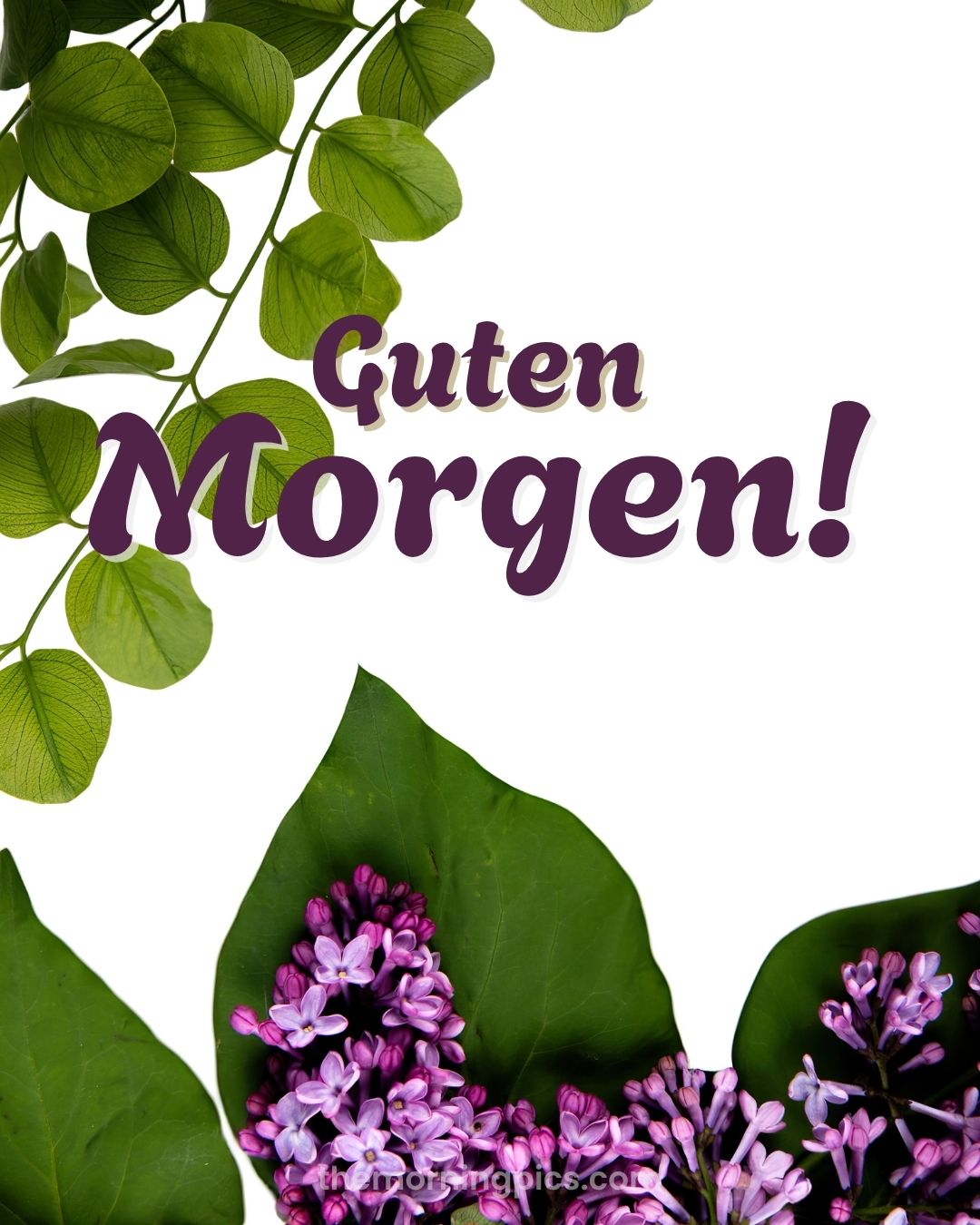 Good morning in german