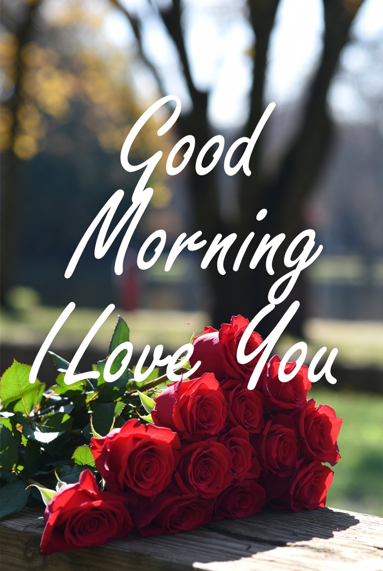 Good Morning I Love You Images with Quotes (31)