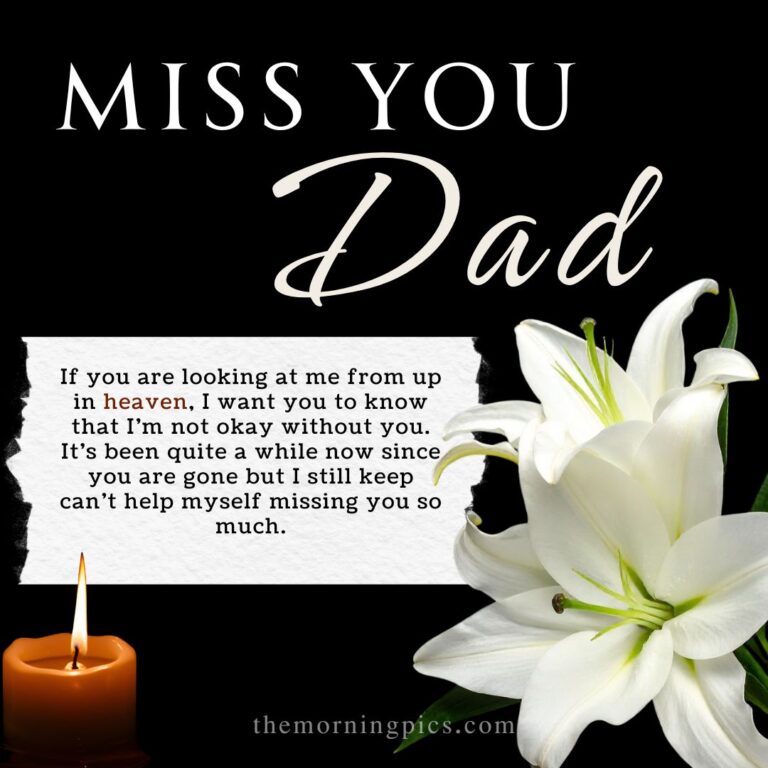 If you are looking at me from up in heaven, I want you to know that I’m not okay without you. It’s been quite a while now since you are gone but I still keep can’t help myself missing you so much.